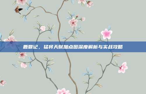 鹿鼎记,猛将天赋加点图深度解析与实战攻略