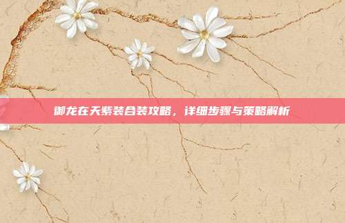 御龙在天紫装合装攻略,详细步骤与策略解析