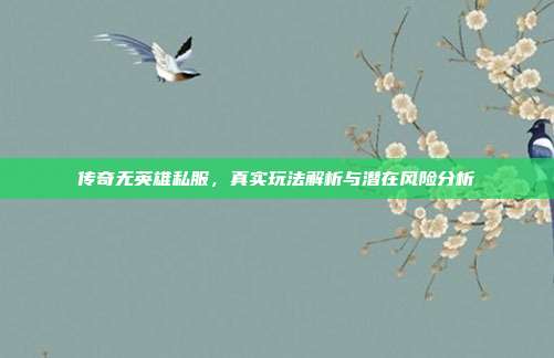 传奇无英雄私服，真实玩法解析与潜在风险分析