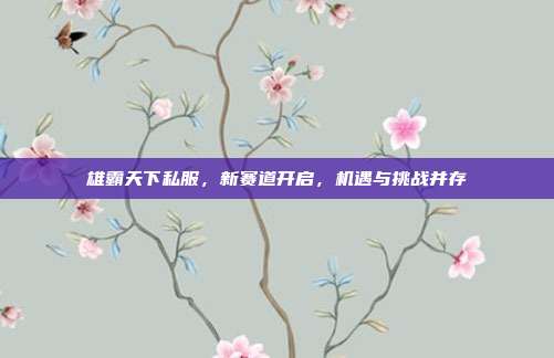 雄霸天下私服,新赛道开启,机遇与挑战并存