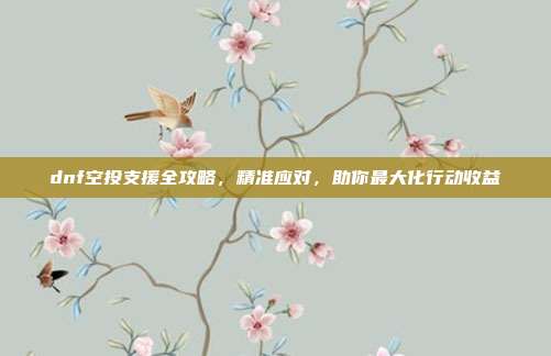 dnf空投支援全攻略，精准应对，助你最大化行动收益
