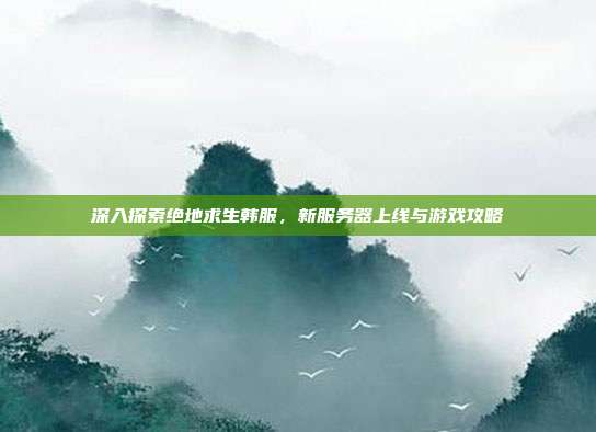 深入探索绝地求生韩服,新服务器上线与游戏攻略
