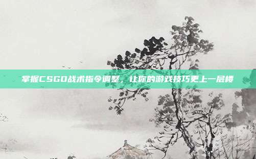 掌握CSGO战术指令调整,让你的游戏技巧更上一层楼