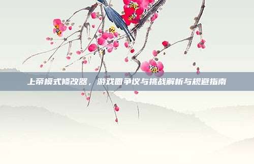 上帝模式修改器,游戏圈争议与挑战解析与规避指南