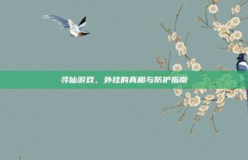 寻仙游戏,外挂的真相与防护指南