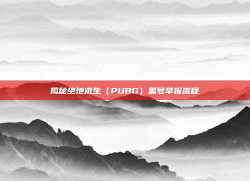 揭秘绝地求生(PUBG)黑号举报流程
