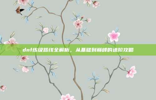dnf练级路线全解析,从基础到巅峰的进阶攻略