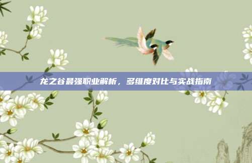 龙之谷最强职业解析,多维度对比与实战指南