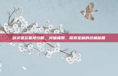剑灵遗忘墓地攻略，突破极限，探索宝藏的终极秘籍