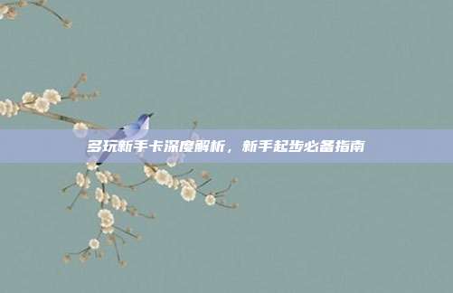 多玩新手卡深度解析，新手起步必备指南