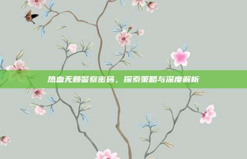 热血无赖警察密码，探索策略与深度解析