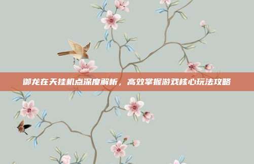 御龙在天挂机点深度解析,高效掌握游戏核心玩法攻略