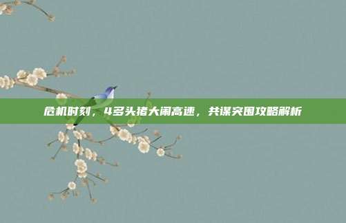 危机时刻，4多头猪大闹高速，共谋突围攻略解析