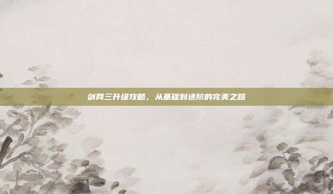 剑网三升级攻略，从基础到进阶的完美之路