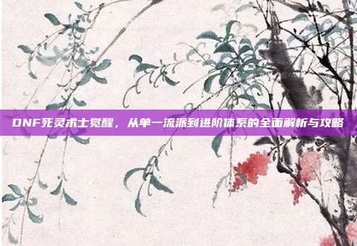 DNF死灵术士觉醒,从单一流派到进阶体系的全面解析与攻略