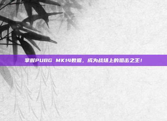 掌握PUBG MK14数据,成为战场上的狙击之王!
