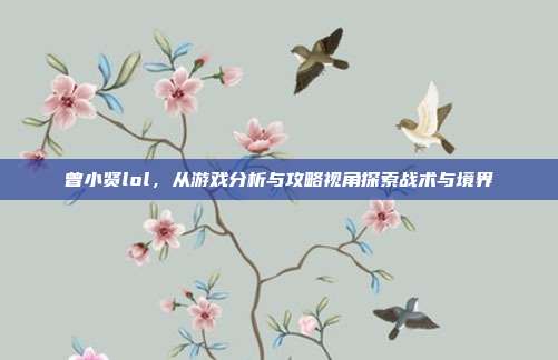 曾小贤lol,从游戏分析与攻略视角探索战术与境界