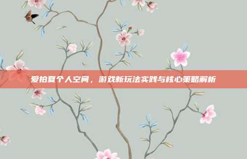 爱拍夏个人空间,游戏新玩法实践与核心策略解析