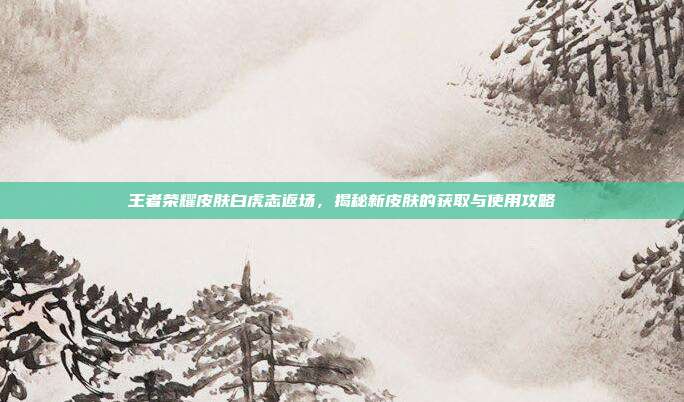 王者荣耀皮肤白虎志返场,揭秘新皮肤的获取与使用攻略