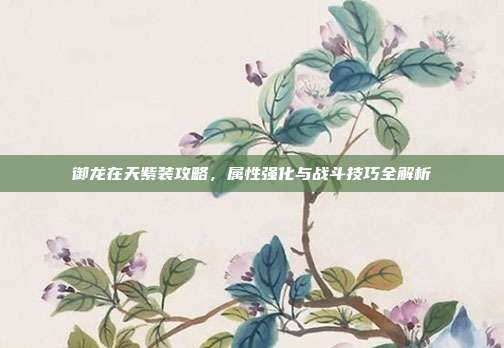 御龙在天紫装攻略,属性强化与战斗技巧全解析