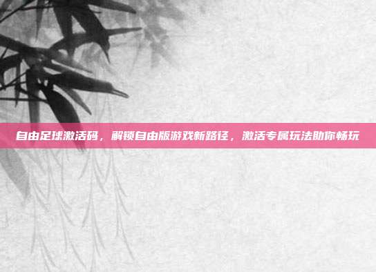 自由足球激活码,解锁自由版游戏新路径,激活专属玩法助你畅玩