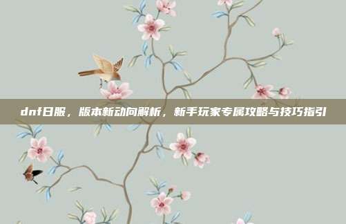 dnf日服,版本新动向解析,新手玩家专属攻略与技巧指引