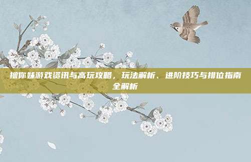 撸你妹游戏资讯与高玩攻略，玩法解析、进阶技巧与排位指南全解析