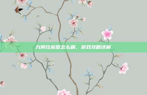 九阴狂标签怎么刷，游戏攻略详解