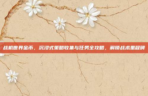 战机世界金币,沉浸式策略收集与任务全攻略,解锁战术里程碑