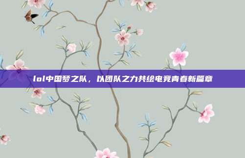 lol中国梦之队,以团队之力共绘电竞青春新篇章