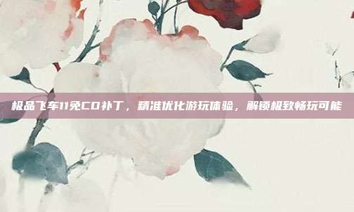 极品飞车11免CD补丁，精准优化游玩体验，解锁极致畅玩可能