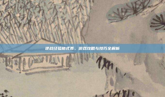 逆战经验格式表,游戏攻略与技巧全解析