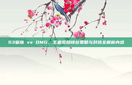 S3皇族 vs OMG,王者荣耀峡谷策略与对抗全解析内容
