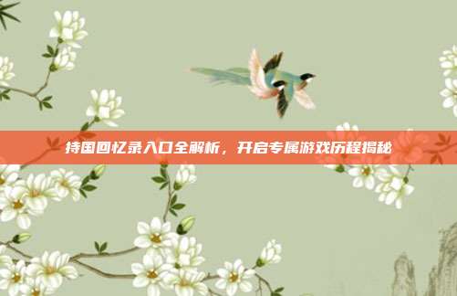 持国回忆录入口全解析，开启专属游戏历程揭秘