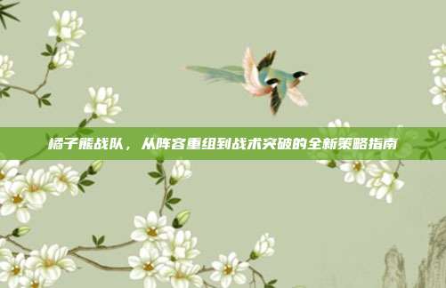 橘子熊战队,从阵容重组到战术突破的全新策略指南