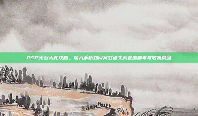 PSP无双大蛇攻略，深入解析如何高效通关高难度副本与收集精髓