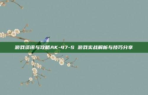 游戏资讯与攻略AK-47-S 游戏实战解析与技巧分享