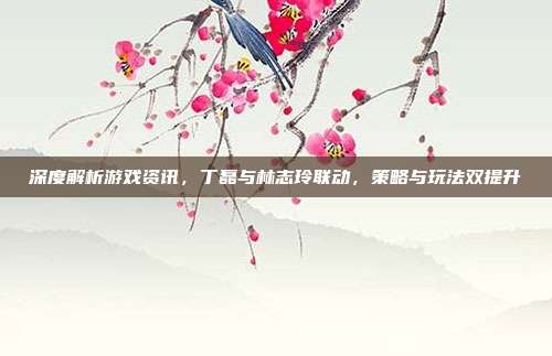 深度解析游戏资讯,丁磊与林志玲联动,策略与玩法双提升