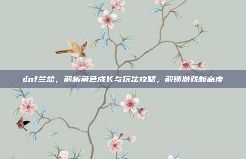 dnf兰总,解析角色成长与玩法攻略,解锁游戏新高度