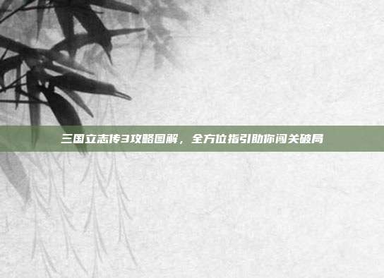三国立志传3攻略图解,全方位指引助你闯关破局