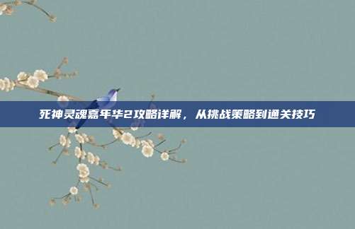 死神灵魂嘉年华2攻略详解,从挑战策略到通关技巧