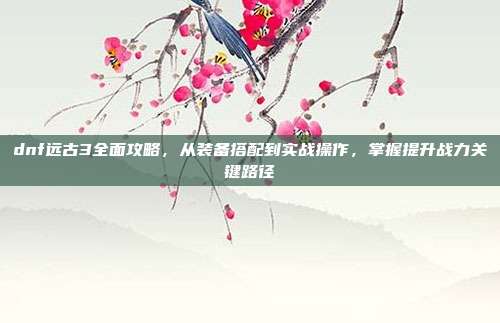 dnf远古3全面攻略,从装备搭配到实战操作,掌握提升战力关键路径