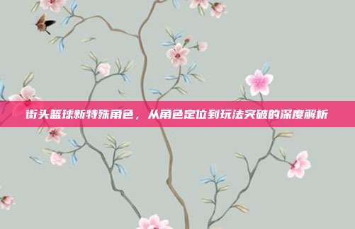 街头篮球新特殊角色,从角色定位到玩法突破的深度解析