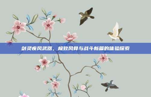 剑灵疾风武器,极致风骨与战斗新篇的体验探索