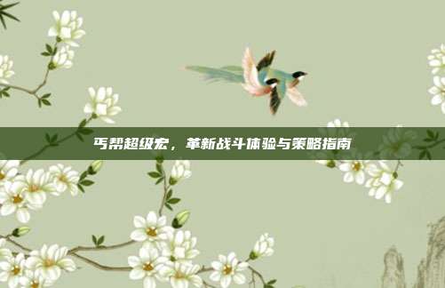 丐帮超级宏，革新战斗体验与策略指南