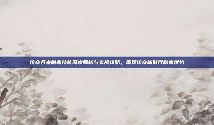 传奇归来刺客技能深度解析与实战攻略，重塑传奇新时代刺客优势