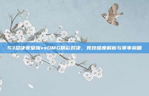 S3总决赛皇族vsOMG精彩对决,竞技维度解析与赛事前瞻