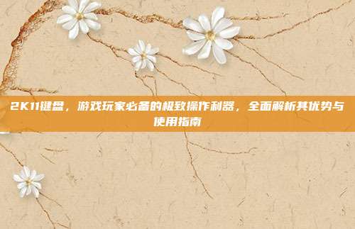 2K11键盘,游戏玩家必备的极致操作利器,全面解析其优势与使用指南