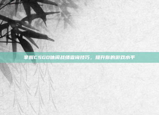 掌握CSGO休闲战绩查询技巧，提升你的游戏水平