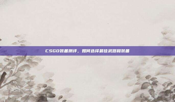 CSGO装备测评，如何选择最佳武器和装备
